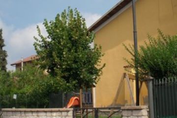 Immagini e Angoli del Territorio - Vie del Paese